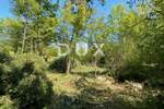 Zemljiste, Poreč, Radmani, prodaja, 35000 €, 4750 m2