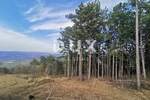 Zemljiste, Motovun, Kaldir, prodaja, 68000 €, 6500 m2