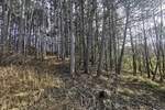 Zemljiste, Motovun, Kaldir, prodaja, 68000 €, 6500 m2
