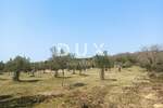 Zemljiste, Rovinj, prodaja, 245000 €, 15475 m2