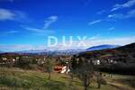 Zemljiste, Cerovlje, Borut, prodaja, 285000 €, 4750 m2