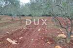 Zemljiste, Marčana, prodaja, 488000 €, 13205 m2