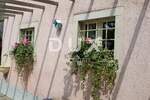 Kuca, Oprtalj, Livade, prodaja, 480000 €, 220 m2