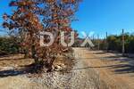 Kuca, Svetvinčenat, prodaja, 480000 €, 300 m2