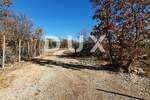 Kuca, Svetvinčenat, prodaja, 480000 €, 300 m2