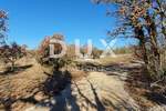 Kuca, Svetvinčenat, prodaja, 480000 €, 300 m2