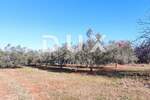 Zemljiste, Marčana, Peruški, prodaja, 229000 €, 14683 m2