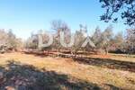 Zemljiste, Marčana, Peruški, prodaja, 229000 €, 14683 m2