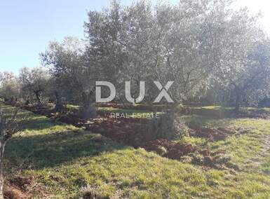 Zemljiste, Novigrad, prodaja, 161000 €, 6413 m2