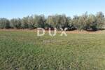 Zemljiste, Novigrad, prodaja, 161000 €, 6413 m2