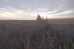 Zemljiste, Krk, prodaja, 59000 €, 5674 m2