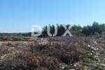 Zemljiste, Novigrad, prodaja, 175000 €, 1000 m2