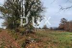 Zemljiste, Žminj, Laginji, prodaja, 123000 €, 2371 m2