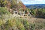 Zemljiste, Buzet, prodaja, 299000 €, 33000 m2