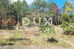 Zemljiste, Buzet, prodaja, 299000 €, 33000 m2