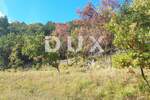 Zemljiste, Buzet, prodaja, 299000 €, 33000 m2