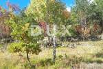 Zemljiste, Buzet, prodaja, 299000 €, 33000 m2
