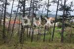 Zemljiste, Cerovlje, prodaja, 200000 €, 9300 m2