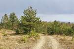 Zemljiste, Gračišće, prodaja, 110000 €, 50860 m2