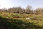 Zemljiste, Vižinada, prodaja, 104220 €, 1737 m2