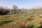 Zemljiste, Vižinada, prodaja, 104220 €, 1737 m2