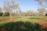 Zemljiste, Vižinada, prodaja, 104220 €, 1737 m2