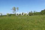 Zemljiste, Labin, prodaja, 519000 €, 16000 m2