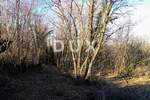 Zemljiste, Sveta Nedelja, Ružići, prodaja, 200000 €, 5697 m2