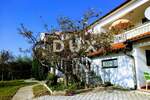 Kuca, Vižinada, prodaja, 735000 €, 357 m2