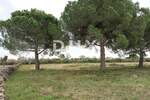 Zemljiste, Vodnjan, Galižana, prodaja, 280000 €, 4478 m2