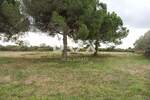 Zemljiste, Vodnjan, Galižana, prodaja, 280000 €, 4478 m2
