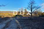 Zemljiste, Vižinada, prodaja, 420000 €, 5261 m2