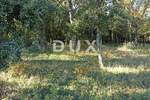 Zemljiste, Medulin, prodaja, 116000 €, 3694 m2