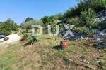 Zemljiste, Kršan, Šušnjevica, prodaja, 135000 €, 3742 m2