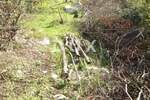 Zemljiste, Kanfanar, prodaja, 150000 €, 2720 m2