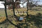 Zemljiste, Višnjan, Sveti Ivan, prodaja, 146000 €, 44600 m2