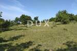 Zemljiste, Višnjan, Sveti Ivan, prodaja, 83000 €, 19190 m2
