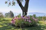 Kuca, Opatija, Poljane, prodaja, 1250000 €, 380 m2