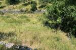 Zemljiste, Kastav, Brnčići, prodaja, 225000 €, 5250 m2
