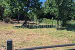 Zemljiste, Ližnjan, Šišan, prodaja, 26000 €, 701 m2
