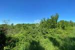 Zemljiste, Poreč, prodaja, 107000 €, 1198 m2
