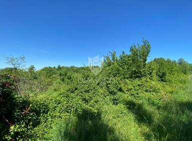 Zemljiste, Poreč, prodaja, 107000 €, 1198 m2