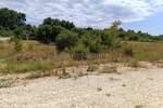 Zemljiste, Ližnjan, prodaja, 35000 €, 700 m2