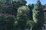 Kuca, Tinjan, prodaja, 329000 €, 70 m2