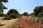 Kuca, Bale, prodaja, 1245000 €, 180 m2