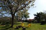 Zemljiste, Ližnjan, prodaja, 154500 €, 0 m2