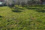 Poslovni prostor, Ližnjan, prodaja, 669500 €, 366 m2