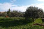 Poslovni prostor, Ližnjan, prodaja, 669500 €, 366 m2