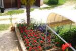 Cetvorosoban stan, Medulin, Premantura, prodaja, 208000 €, 99 m2