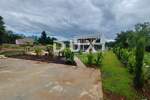 Kuca, Tinjan, prodaja, 1170000 €, 220 m2